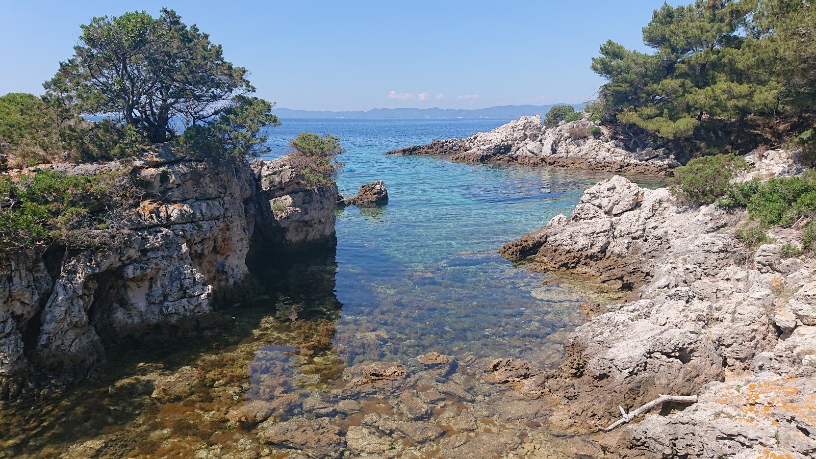 gallery picture four