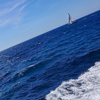 gallery picture five